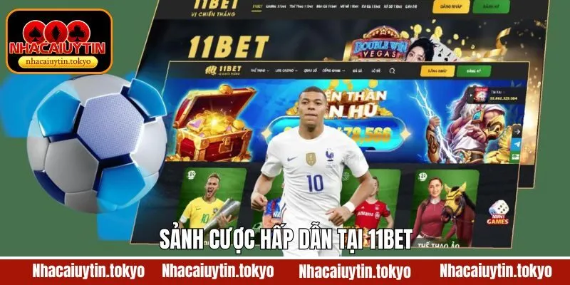 Nền tảng cung cấp những sảnh cược vô cùng hấp dẫn