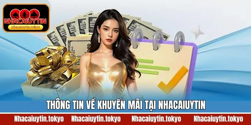 Giới thiệu chung về khuyến mãi tại Nhacaiuytin