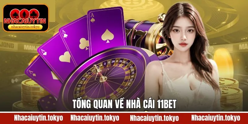 Thông tin sơ lược liên quan đến nhà cái 11Bet