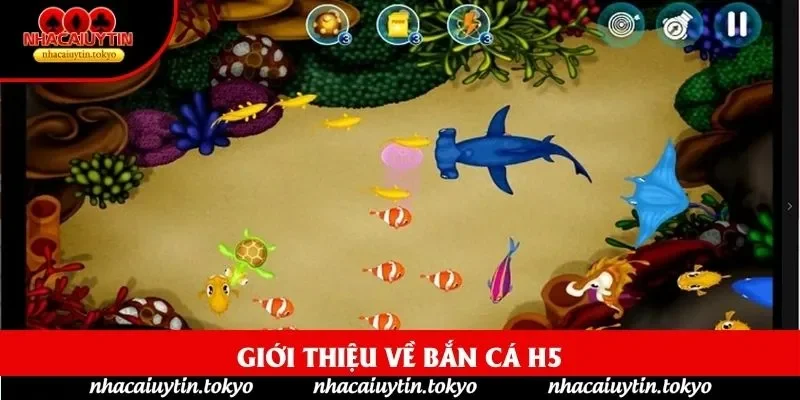 Giới thiệu về bắn cá h5