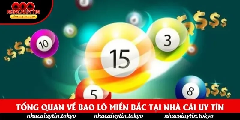 Tổng quan về Bao lô miền Bắc tại nhà cái uy tín