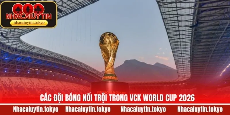 Các bảng đấu tử nổi bật của VCK