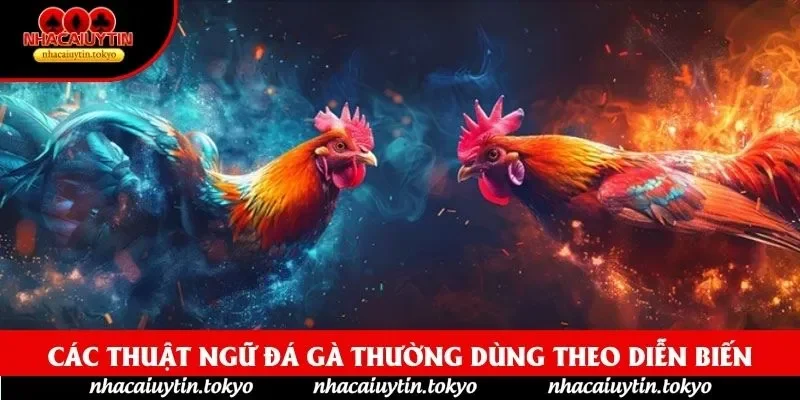 Các Thuật Ngữ Đá Gà thường dùng theo diễn biến
